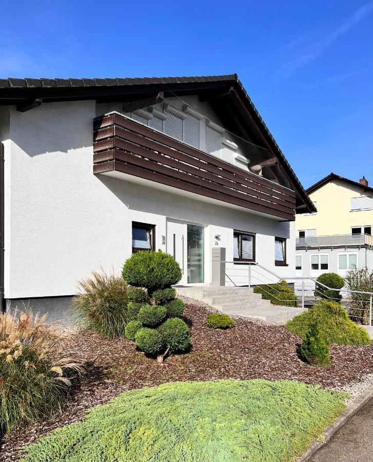 Xxl Apartment Sinsheim Buitenkant foto