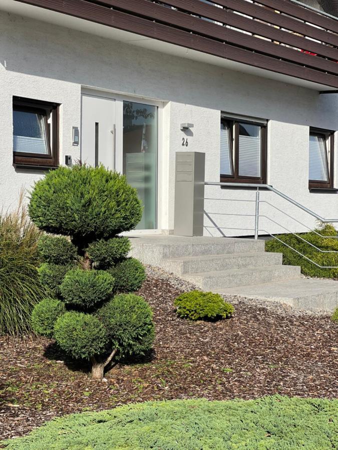Xxl Apartment Sinsheim Buitenkant foto